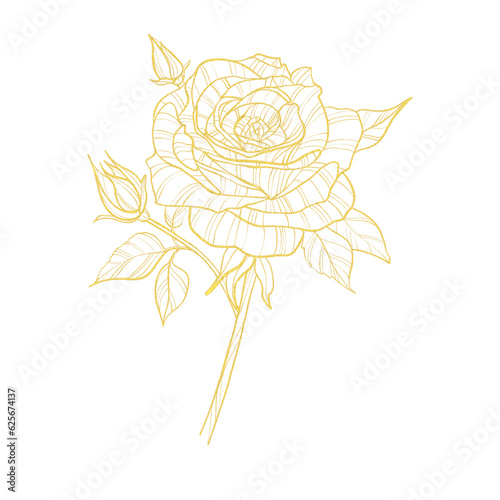 line art illustration of gold rose