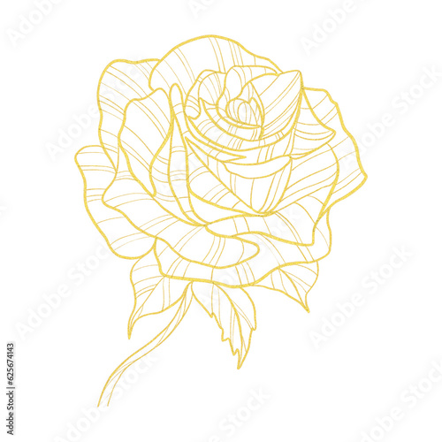 gold line art rose isolated on white