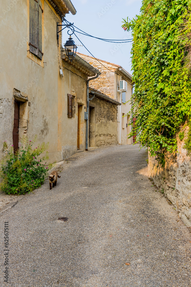 Fototapeta premium Dans les rues de Grignan