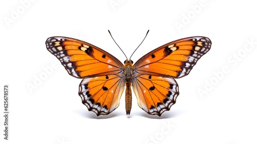 Monarch butterfly. Perfect for any project related to the beauty of nature png isolated background