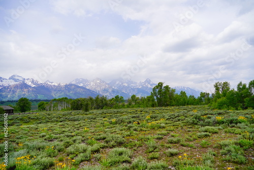 Snow mountain at Grand Teton National Park in early summer  Wyoming  USA