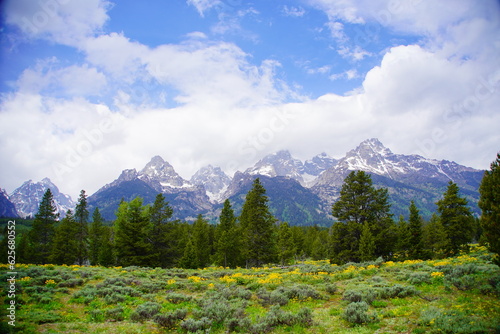 Snow mountain at Grand Teton National Park in early summer, Wyoming, USA © Feng