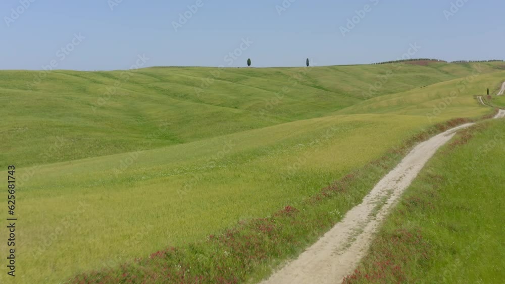 Cypress tree in Tuscany Italy. Green rolling hills during spring. Aerial view Cypress tree in Tuscany Italy. Green rolling hills during spring. Aerial view