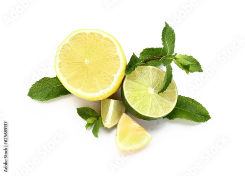 Fresh lemon, lime and mint leaves on white background