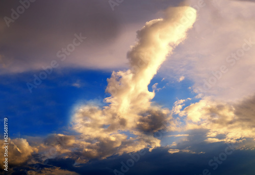 Funny cloud in the shape of phallus phallic symbol phallus in the sky in the evening in the light of sunset.