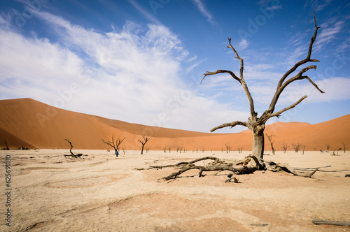 Namibian Panorama 