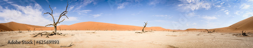 Namibian Panorama 