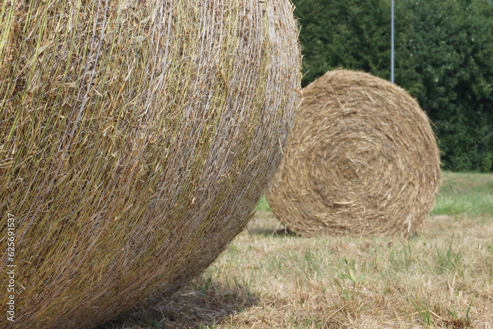 Strohballen auf einem Feld Strohballen auf einem Feld