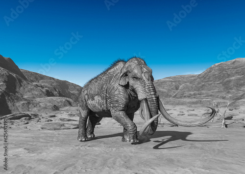 colossadon mammoth is walking and looking for water on the dry desert