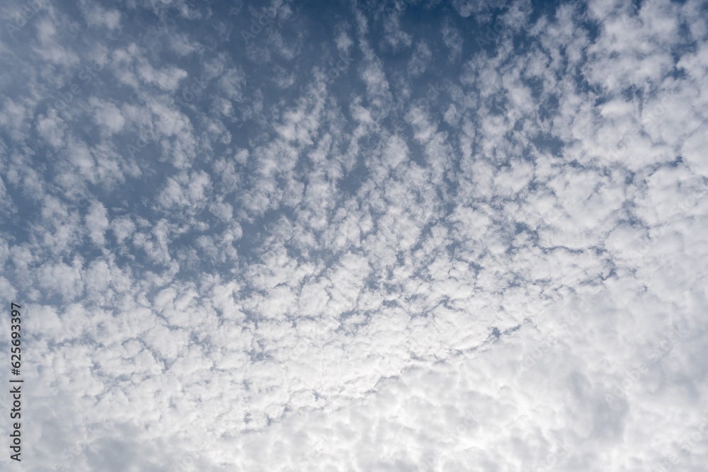 Fototapeta premium Blue sky with white clouds. Beautiful fluffy shape. 