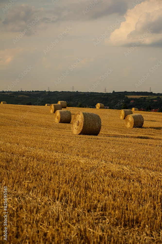 Fototapeta premium bales of straw