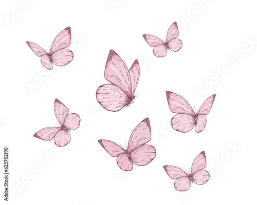 butterflies and flowers