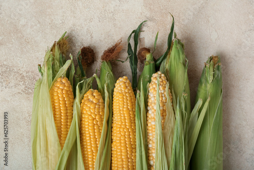 Fresh sweet corn cobs with ...