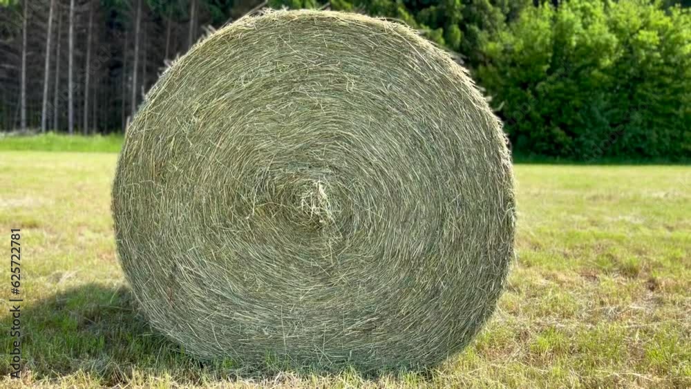 Haylage is grass dried to a humidity of 50-55% and preserved in sealed containers. It is used for feeding cattle and sheep Haylage is grass dried to a humidity of 50-55% and preserved in sealed containers. It is used for feeding cattle and sheep
