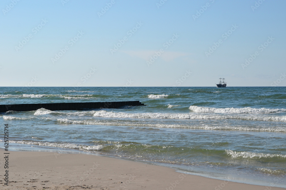 Wooden piles sticking out of the sand on the beach and sea,  shore defenses, breakwater. Seagulls sitting on the brakewater.