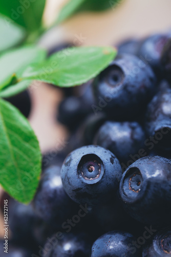 Fresh blueberries closeup with fresh branches with green leaves. Ripe blueberries. Macro shot.