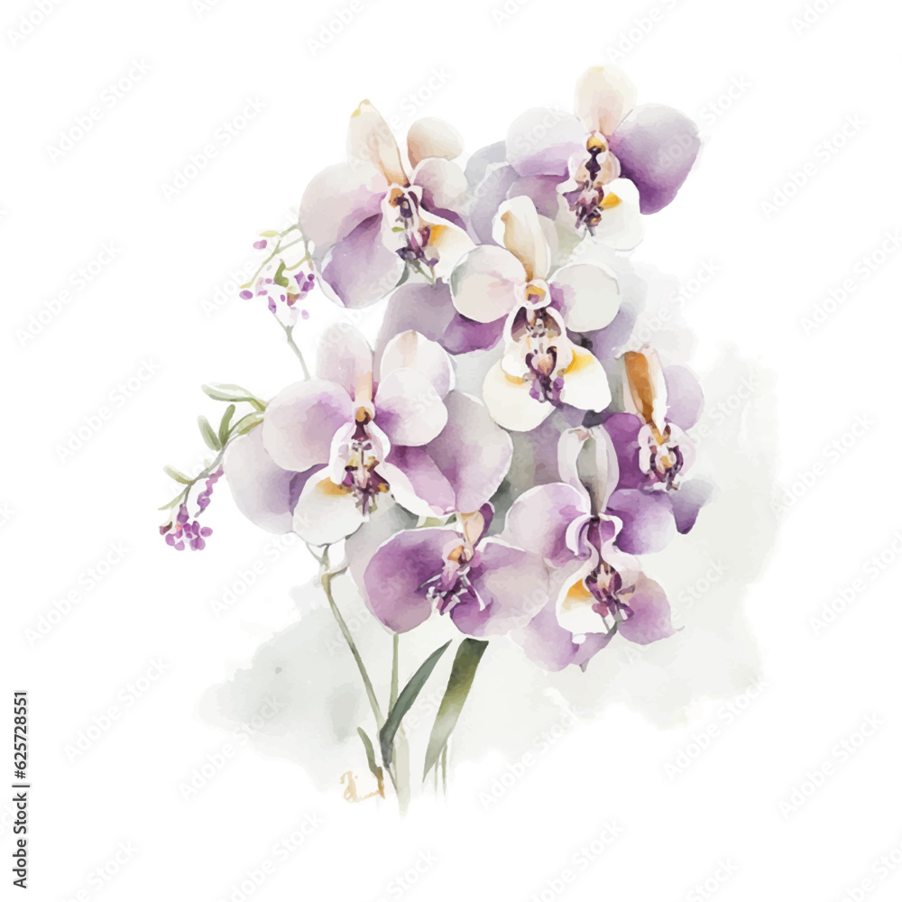 Fototapeta premium Orchid Flower in watercokor vector