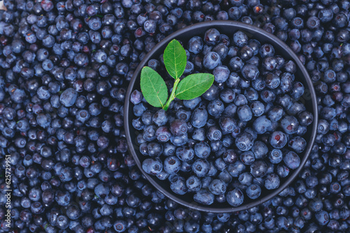 Fresh blueberries with a green branch on top in black bowl on blueberries background.  Close-up. Top view. Bowl filled with ripe blueberries.