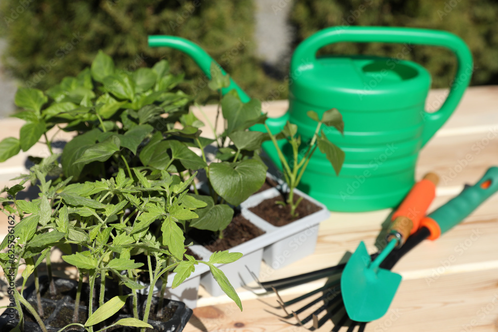 Seedlings growing in plastic containers with soil, gardening tools and watering can on table outdoors