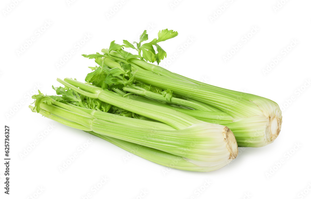 Fresh green celery bunches isolated on white Fresh green celery bunches isolated on white