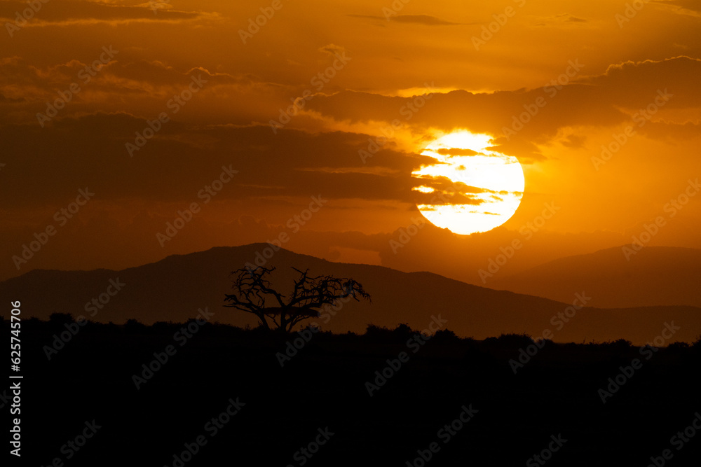 Sunset with Tree Silhouette in Kenya