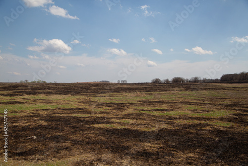 burned field and sky