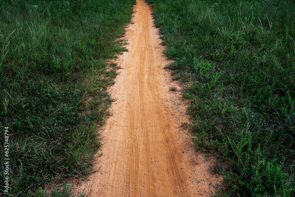 Mountain bike tracks on a brown dirt trail through a green field Mountain bike tracks on a brown dirt trail through a green field