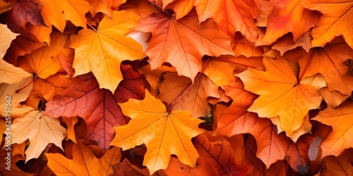 Background group autumn orange leaves, AI generative