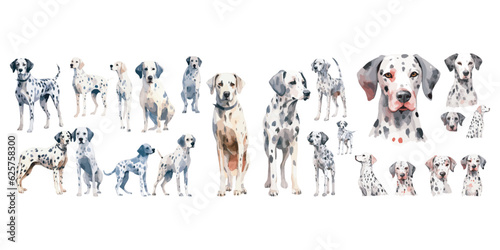 Watercolor dalmatian dog clipart for graphic resources