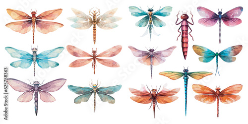 Watercolor dragonfly clipart for graphic resources