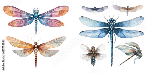 Watercolor dragonfly clipart for graphic resources