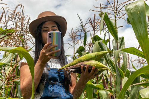 Mujer joven latina haciendo un control de calidadcon su teléfono de un sembrio de maíz  photo
