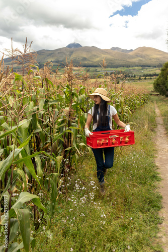 granjera saliendo de su huerta sostenible en medio de las montañas con la cosecha del día photo