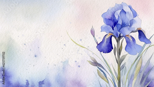 Abstract Floral Blue Iris Tridentata Flower Watercolor Background On Paper