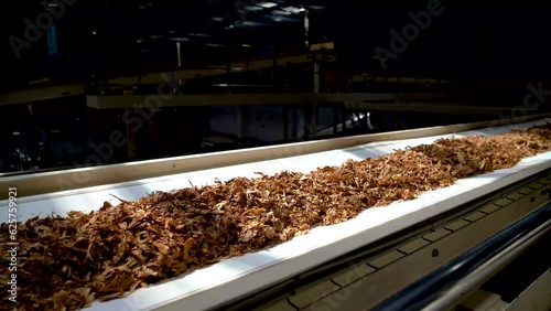 Factory for the production of tobacco is transporting nicotine tobacco raw material photo