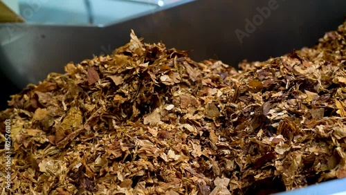 Factory for the production of tobacco is transporting nicotine tobacco raw material photo