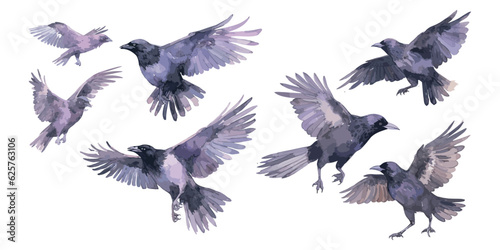 Watercolor flying Raven clipart for graphic resources