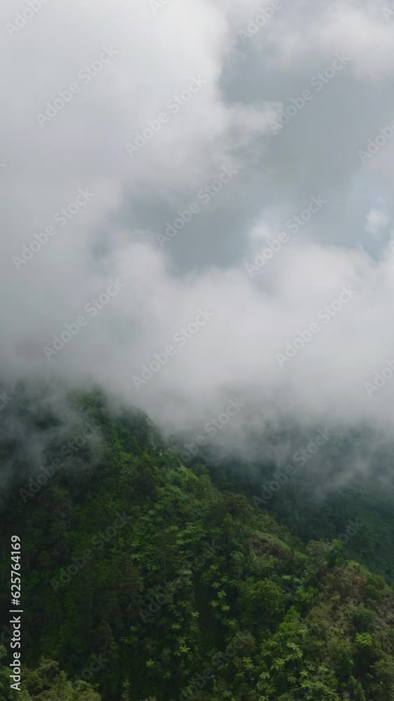 Green forest in the mountains covered with fogs and clouds. Mindanao, Philippines. Environmental concept. Aerial view. Vertical view. Green forest in the mountains covered with fogs and clouds. Mindanao, Philippines. Environmental concept. Aerial view. Vertical view.