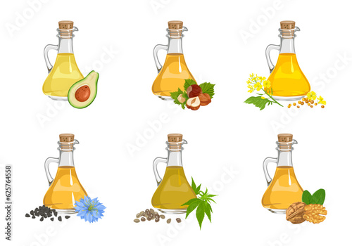 Set of different cooking oils in glass bottles, seeds, nuts and plants. Vector cartoon illustration of mustard, avocado, walnut, hazelnut, hemp and black cumin seed oil.