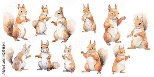 Watercolor Squirrel clipart for graphic resources