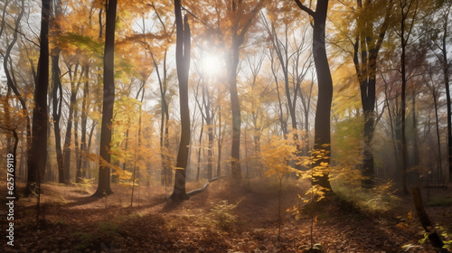 a dense broadleaf forest in autumn with sun shining bright  illustration  Generative AI