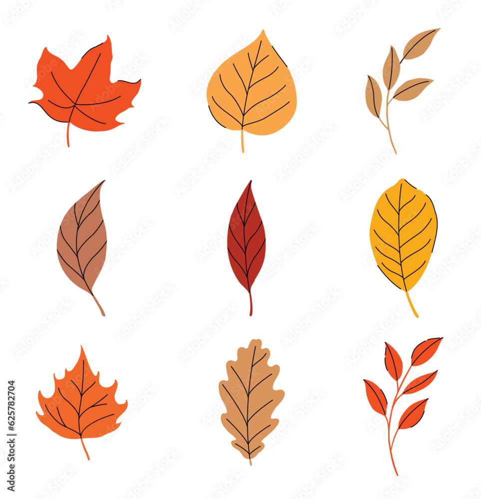 Obraz premium Autumn leaves set isolated on white background.