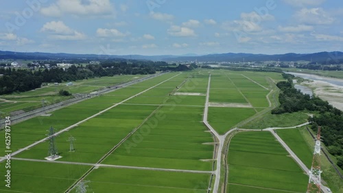 ドローン撮影：夏の青空と広大な田んぼと鉄塔を前進しながら撮影