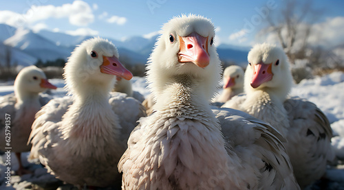 A bunch of white geese, generative ai