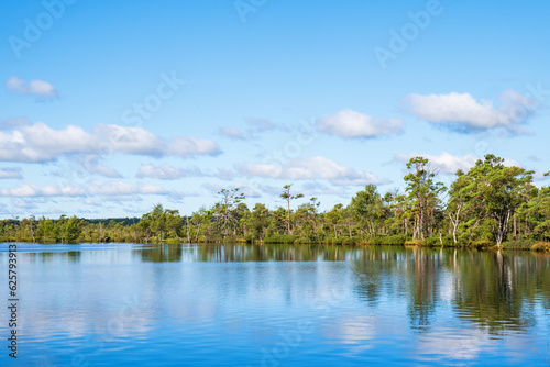 Awesome lake by the woodland in the summer