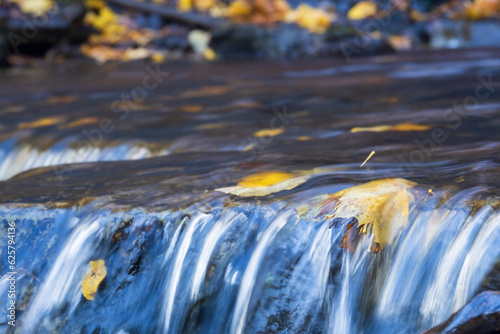 Falling water with floating maple leaf