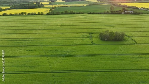 Aerial view,  Agriculture and farms with grain and rape fields, Christiansfeld, Region Syddanmark, Denmark photo