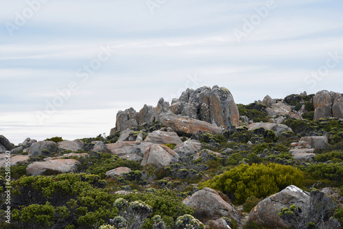 Slika na platnu beautiful landscape vista of Mount Wellington tourist landmark in Hobart Tasmani