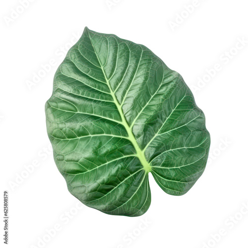 green leaf