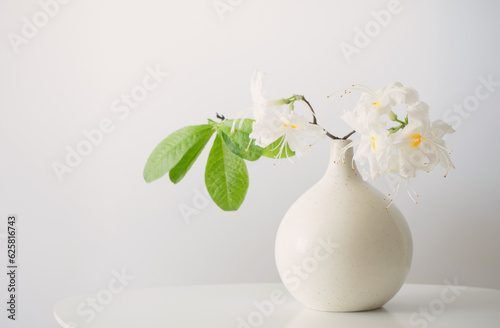 Wallpaper Mural white rhododendrom in vase on white background Torontodigital.ca